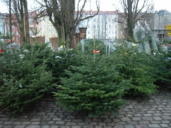 tage20111222.jpg