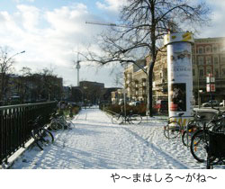 tage20081124.jpg