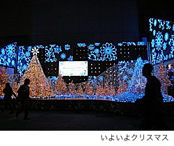 tage20101128.jpg